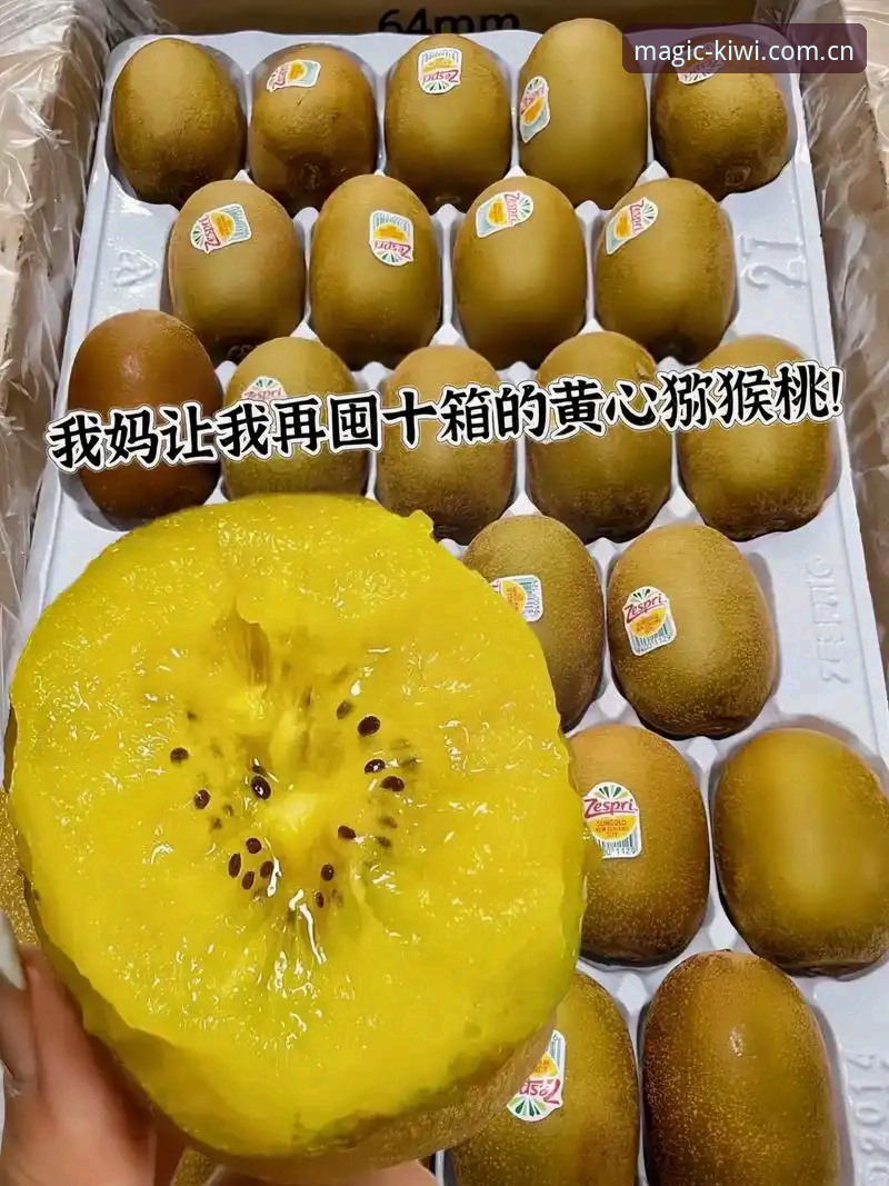 最新奇异果体育最新版本 奇异果体育最新版本深度评测:从安装到实战,老用户带你避坑